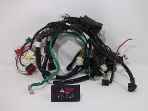 INSTALACION ELECTRICA PRINCIPAL KYMCO AGILITY CITY (E4)